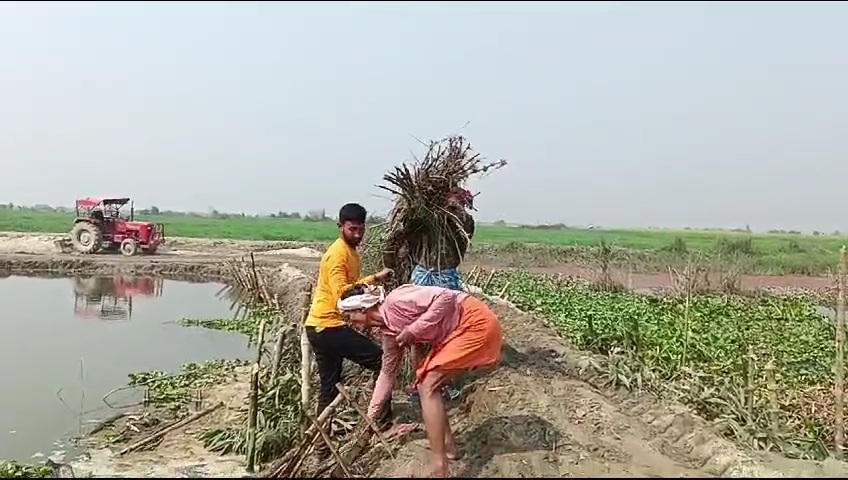 ROAD IN BETTIAH