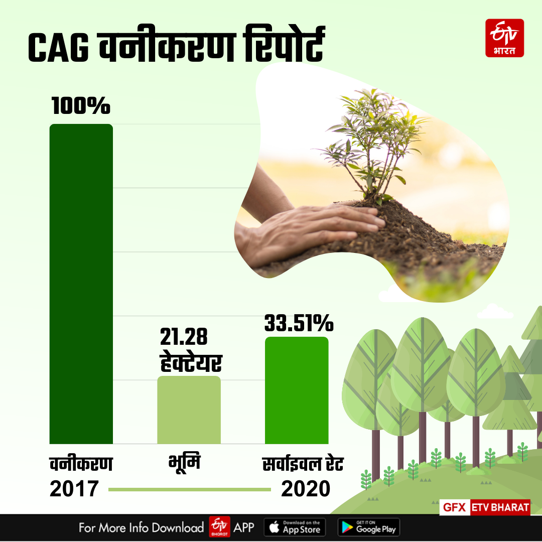 Uttarakhand Plantation Campaign