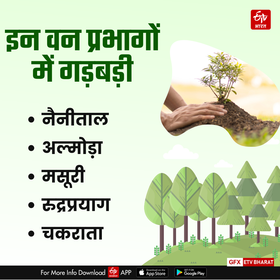 Uttarakhand Plantation Campaign