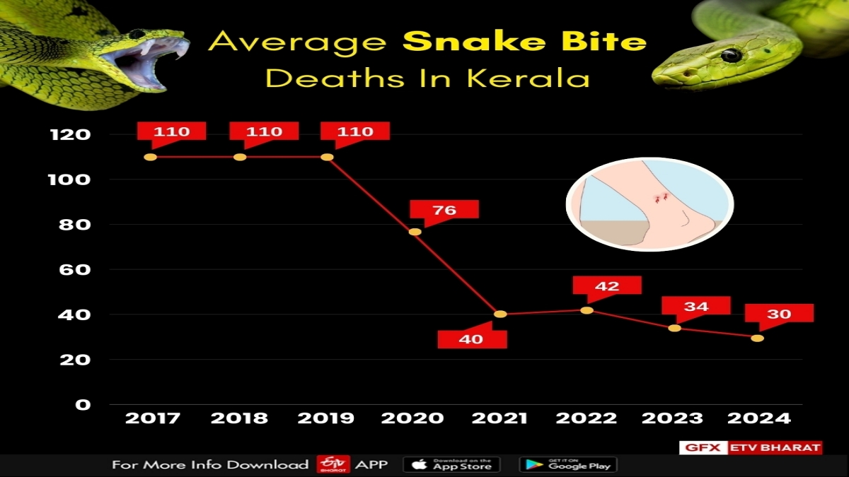 From 110 Snakebite Deaths To Just 30: Kerala’s Treatment Program Brings Drastic Decline In Mortalities