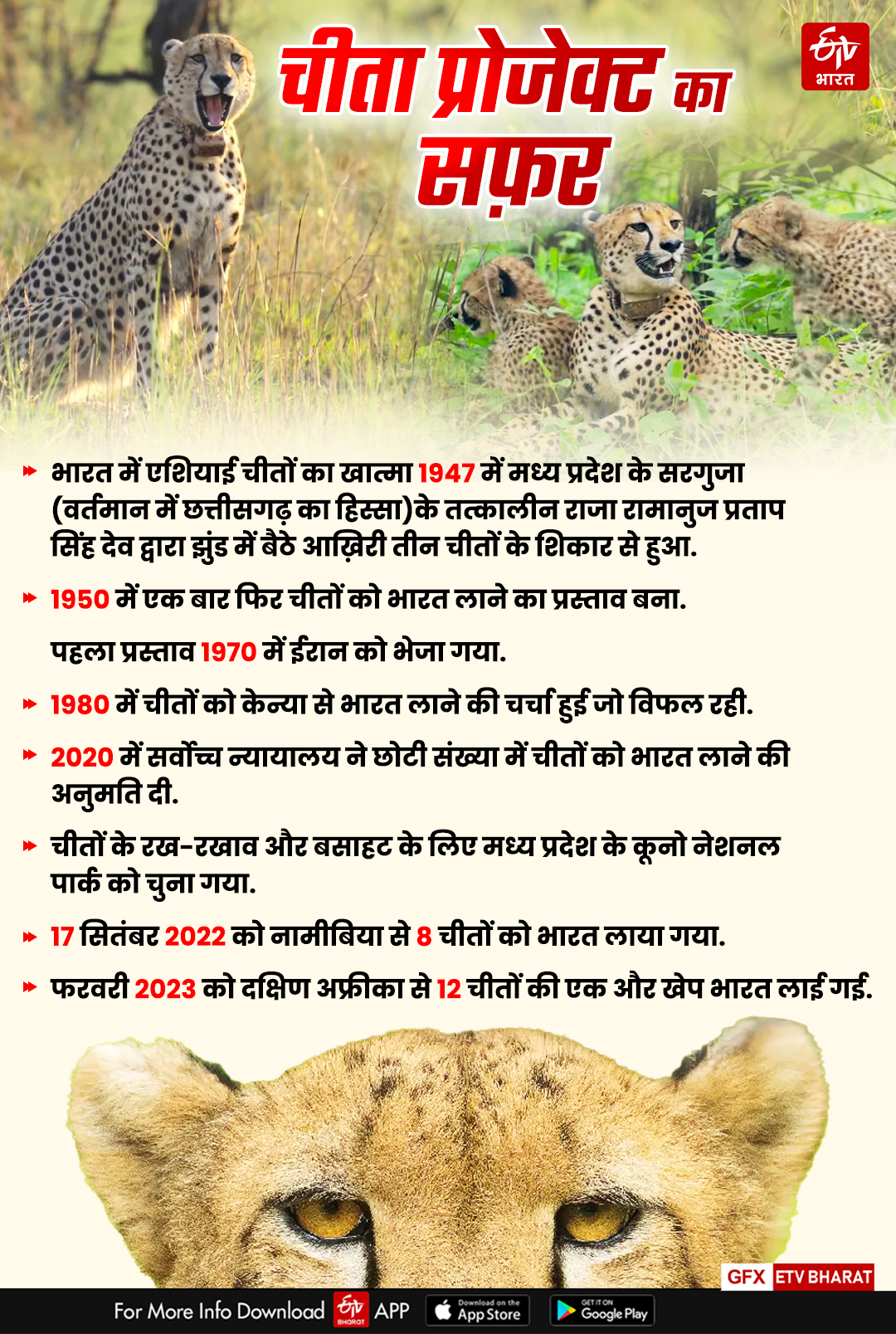 CHEETAH PROJECT India