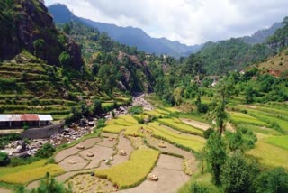 Uttarakhand Crop Yield