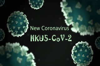 coronavirus from bats