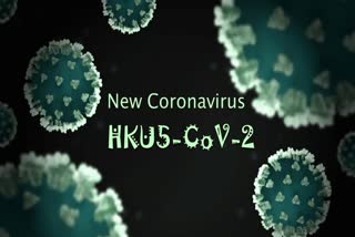 NEW BAT CORONAVIRUS  China Discovers New Bat Coronavirus  Hku5 Cov 2 Coronavirus