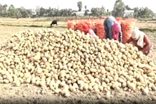 Barpeta farmers demand