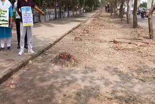 trees cut in kolkata