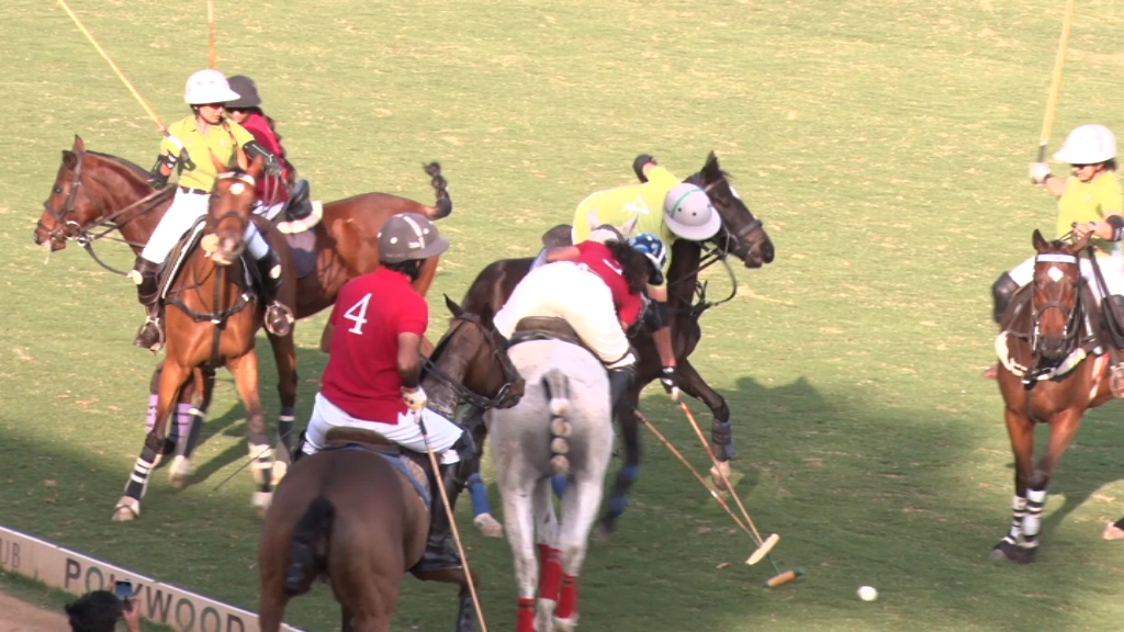 Polo Competition In Jaipur