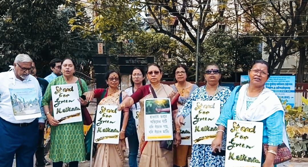 trees cut in kolkata