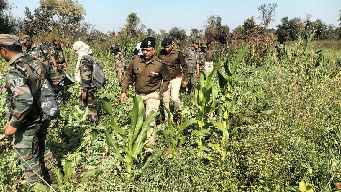 Opium Cultivation in Jharkhand