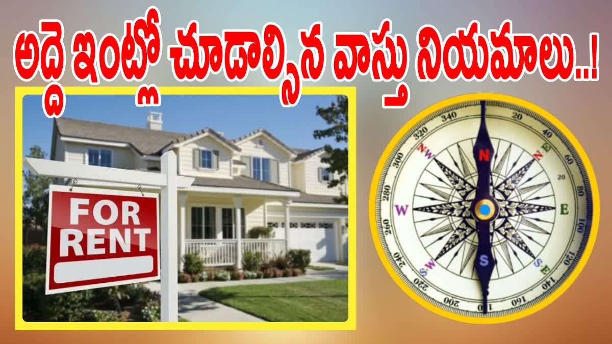 Rented Home Vastu Tips