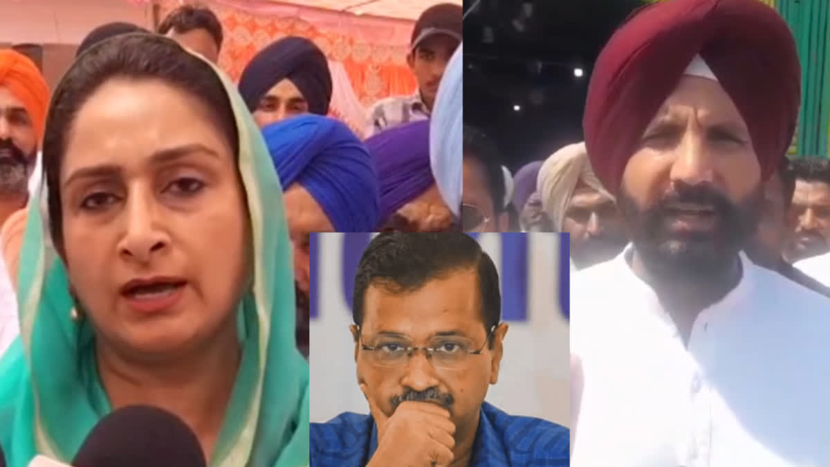 Former central minister Harsimrat Kaur Badal and congress leader raja warring on Arvind Kejriwals arrest by ED