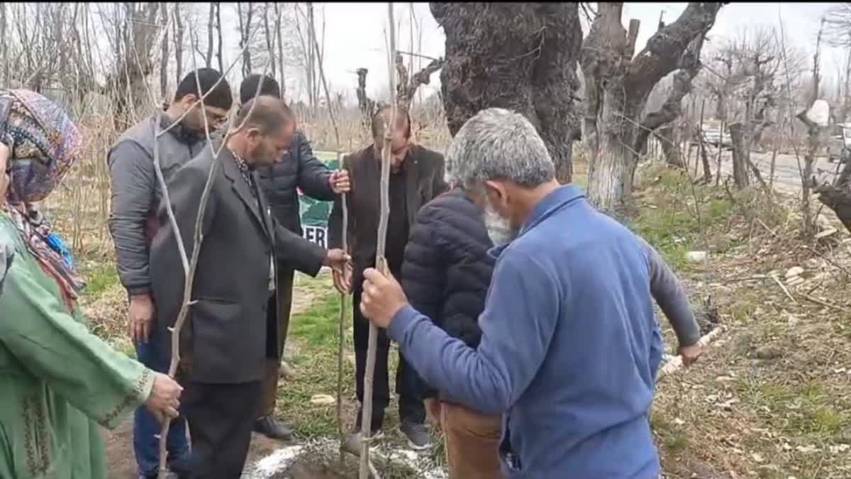 director-sericulture-j-and-k-kick-starts-extensive-mulberry-plantation-drive-in-pulwama