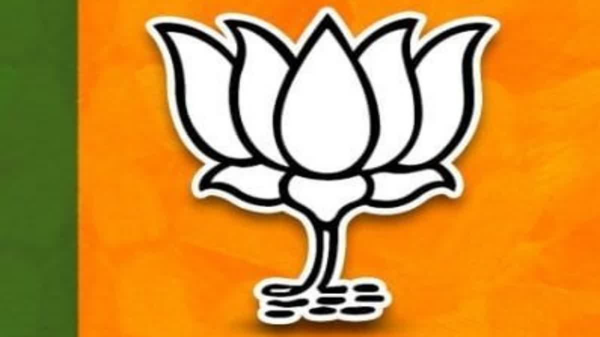 by-election-of-vilavancode-bjp-candidate-v-s-nanthini