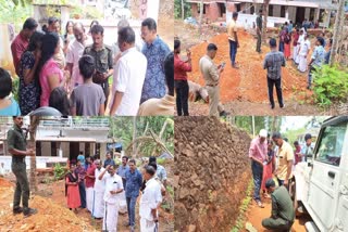 Leopard  Leopard Spotted  FOREST DEPARTMENT  KUNDAMANGALAM PANTHEERPADAM