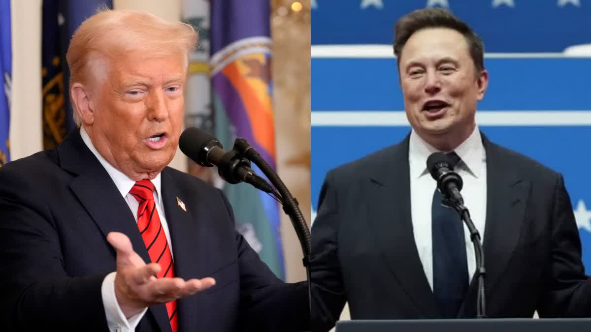 trump on elon musk
