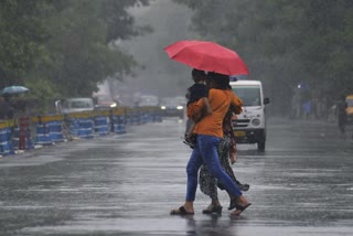 WEATHER UPFATES IN KERALA  IMD ISSUES YELLOW ALERT  YELLOW ALERT FOR THREE DISTRICTS  കേരളം മഴ മുന്നറിയിപ്പ്