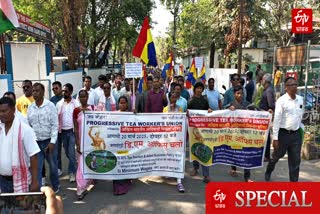 Tea Workers Join Hands to Protest