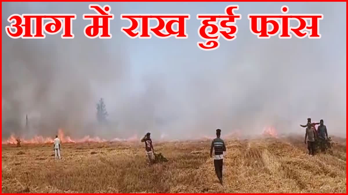 Wheat Straw Fire in Sonipat