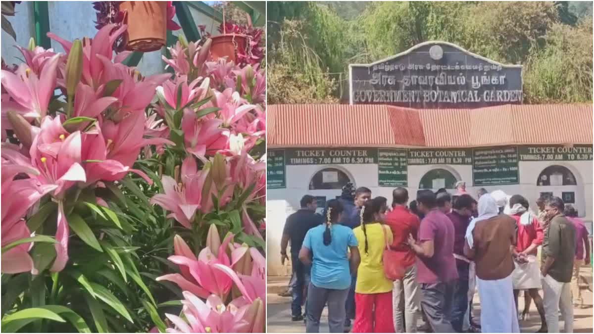 ooty-tourist-spots-are-thronged-with-tourists-following-the-onset-of-summer-season