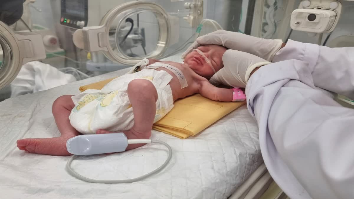 Palestinian Baby Is Born As Orphan