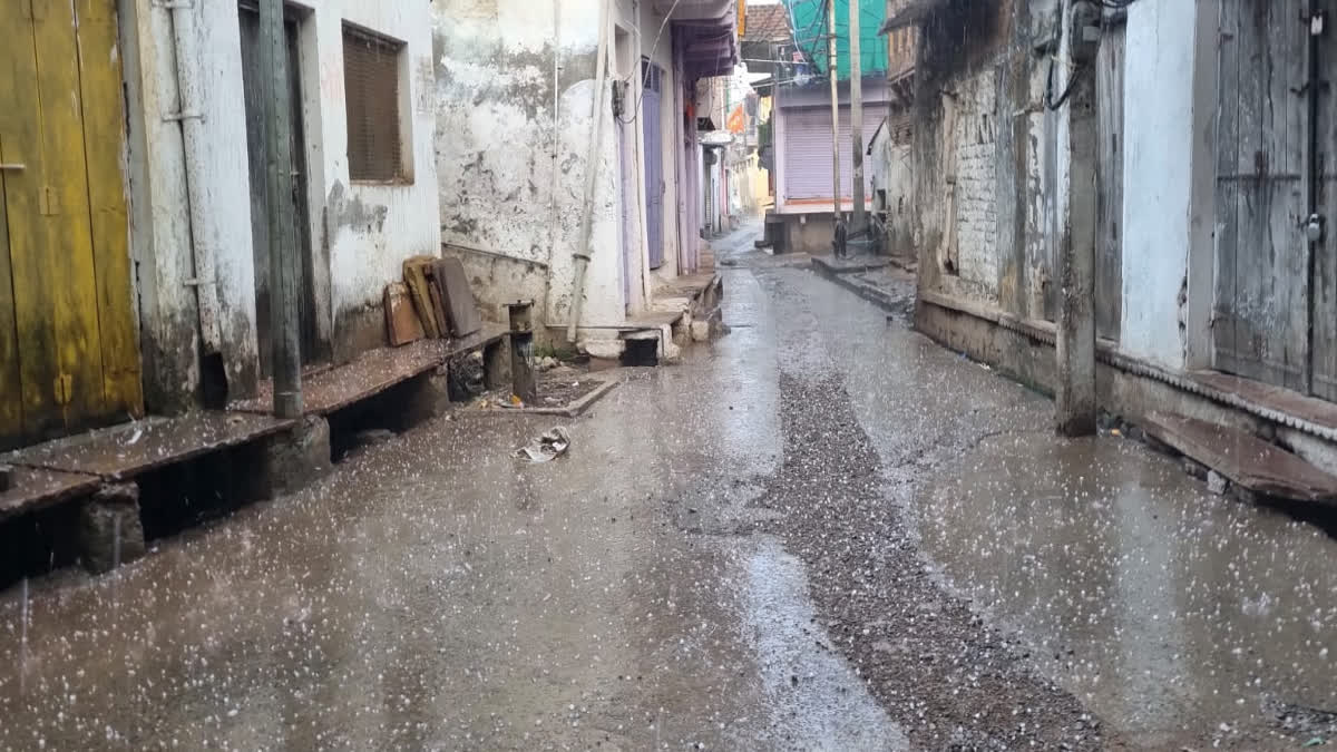 Weather changed in Jhalawar, hail of gram size fell, buffalo died due to lightning
