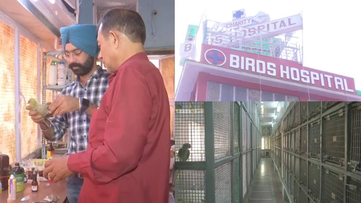 Special Hospital For Birds In Delhi