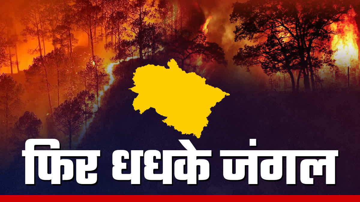 UTTARAKHAND FOREST FIRE