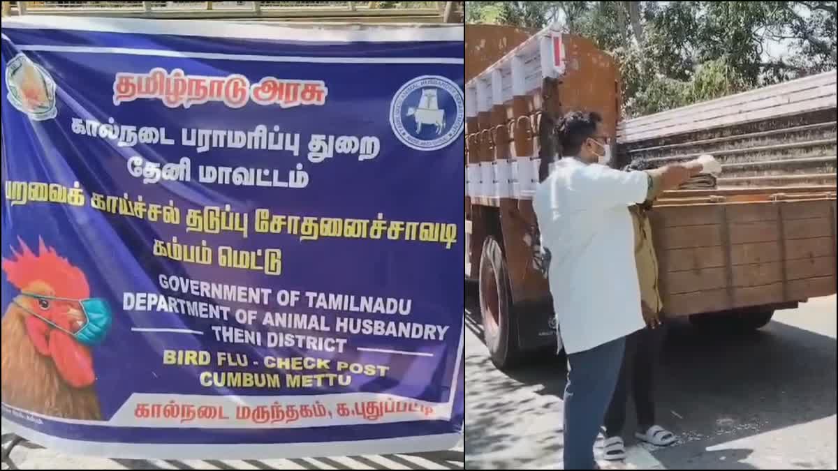 Bird Flu Camp In Tamil Nadu