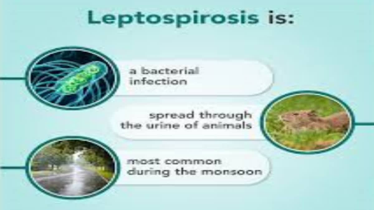 Health experts in the country issued cautions over the leptospirosis disease, which became endemic, especially after floods.