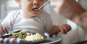 MICHIGAN UNIVERSITY ADVISES CHILDREN TO AVOID SNACKS BETWEEN MEALS