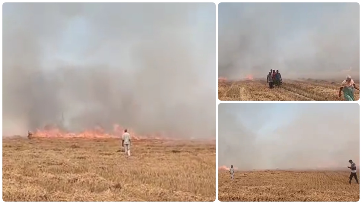 Wheat Straw Fire in Sonipat