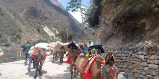 The movement to the Kedarnath Dham Yatra started after the route filled with snow was cleared. After the clearance, the movement of horses and mules has also started. Following this, a number of travellers and devotees have registered online to visit the Dham.