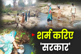 Pahadi Korwa drinking drain water in Korba