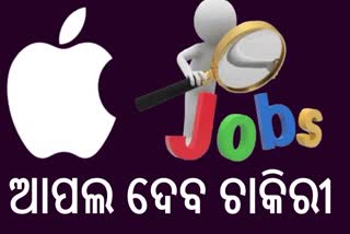 apple hiring