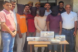 Udaipur Loot Case