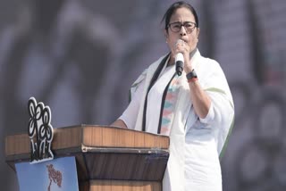 Mamata Banerjee