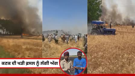 Fire Broke In Crops