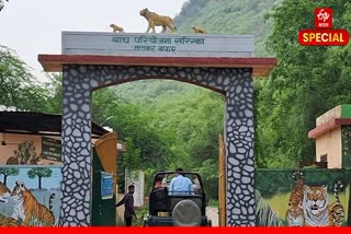 सरिस्का टाइगर रिजर्व