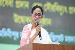 CM Mamata Banerjee