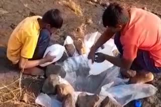 कृत्रिम पाणवठा तयार करताना मुले