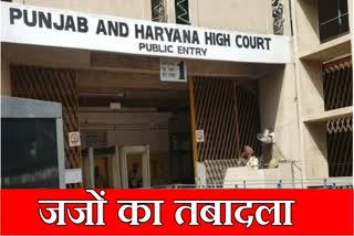 Haryana and Punjab High Court transferred 72 civil judges in Haryana