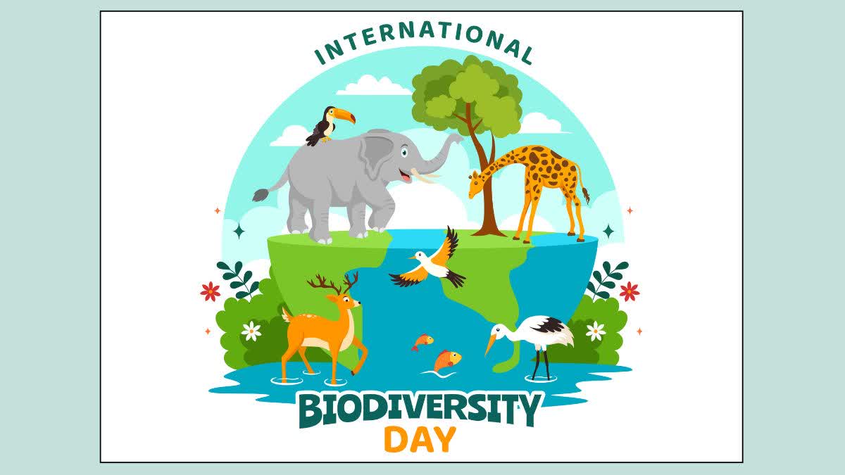 International Day for Biological Diversity