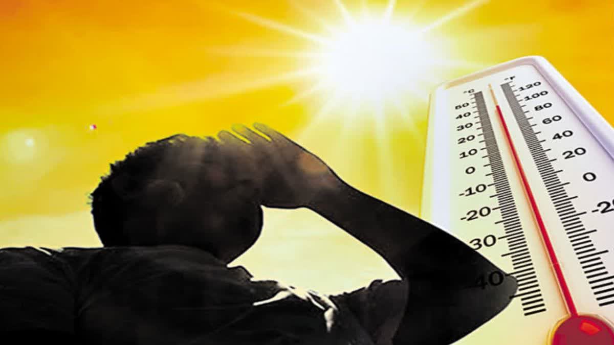 Extreme heat wreaks havoc