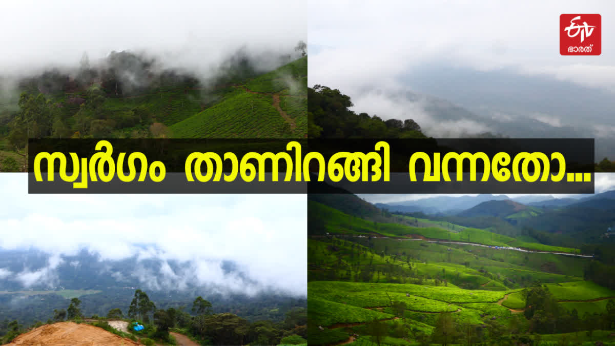 TOURIST PLACES IN MUNNAR  മൂന്നാർ ഗ്യാപ് റോഡ് ​ IDUKKI TOURIST SPOTS  GAP ROAD MUNNAR