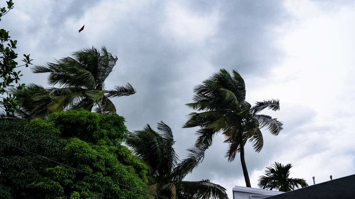 Rain in Bengal