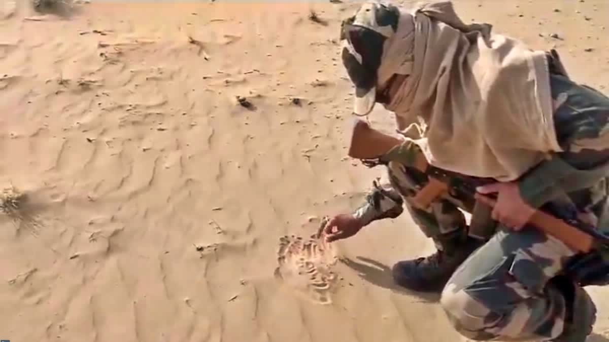 BSF JAWAN ROASTS PAPAD  RAJASTHAN BSF VIRAL VIDEO PAPAD  മണലില്‍ പപ്പടം ചുട്ട് ജവാന്‍  ബിഎസ്എഫ് ജവാന്‍ പപ്പടം