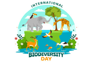 May 22nd is celebrated as the International Day for Biological Diversity (IDB) every year globally to create awareness among the citizens and stakeholders on the importance and need for the conservation of biological diversity. The UN General Assembly adopted 22 May as IDB, to commemorate the adoption of the text of the Convention on 22 May 1992 by the Nairobi Final Act of the Conference for the Adoption of the Agreed Text of the Convention on Biological Diversity. The theme of the IDB 2024 is “Be part of the Plan”. When first created by the Second Committee of the UN General Assembly in late 1993, 29 December (the date of entry into force of the Convention of Biological Diversity), was designated The International Day for Biological Diversity.