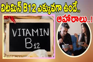 BEST VITAMIN B12 FOODS