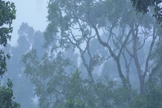 HEAVY RAINFALL IN IDUKKI  WEATHER UPDATES IN KERALA  കേരളത്തില്‍ ശക്തമായ മഴ  ഇടുക്കിയില്‍ ഇന്ന് റെഡ് അലര്‍ട്ട്