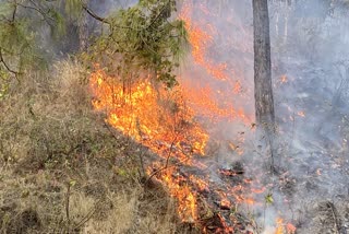A forest area on fire in Uttarakhand (Representational picture)